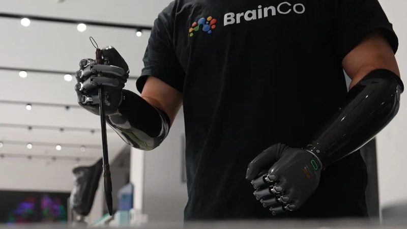 人工智能应用趋势解析：十大品牌引领未来